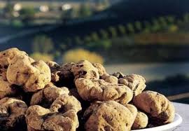 A TAVOLA CON IL TARTUFO BIANCO D'ALBA